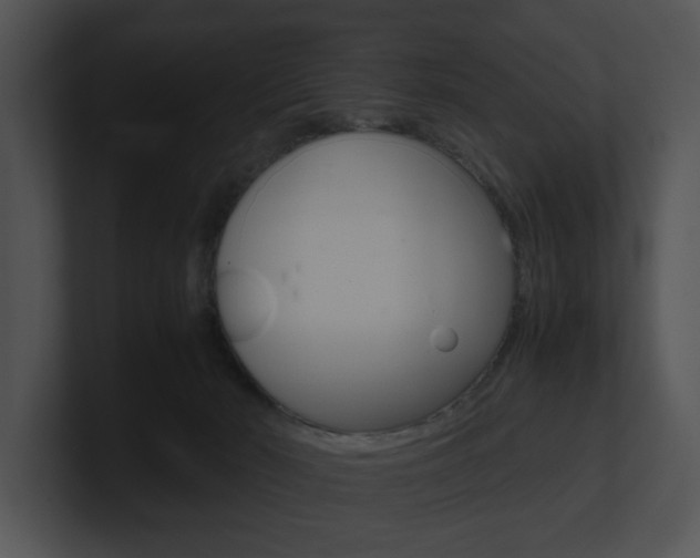 X0000100950030200806241132