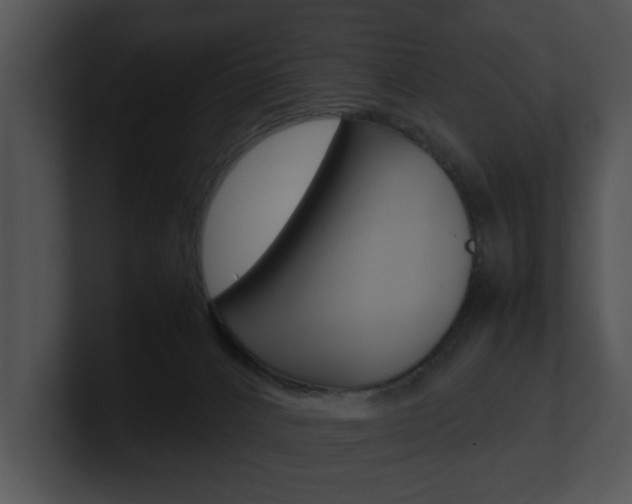 X0000100950032200806241132