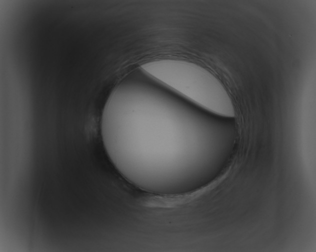 X0000100950033200806241132