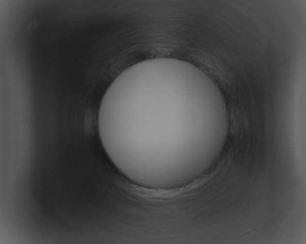 X0000100950034200806241132
