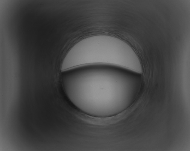 X0000100950035200806241132