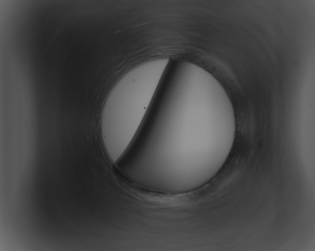 X0000100950036200806241132
