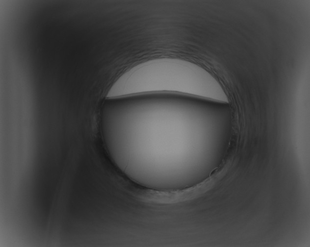 X0000100950037200806241132