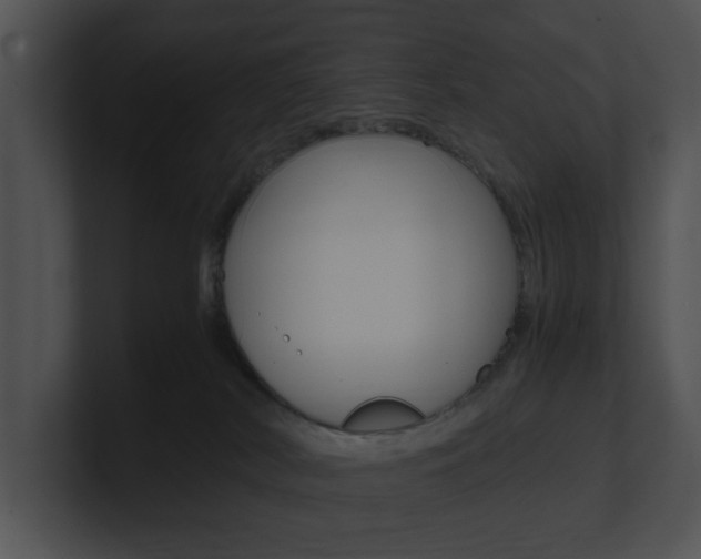 X0000100950038200806241132