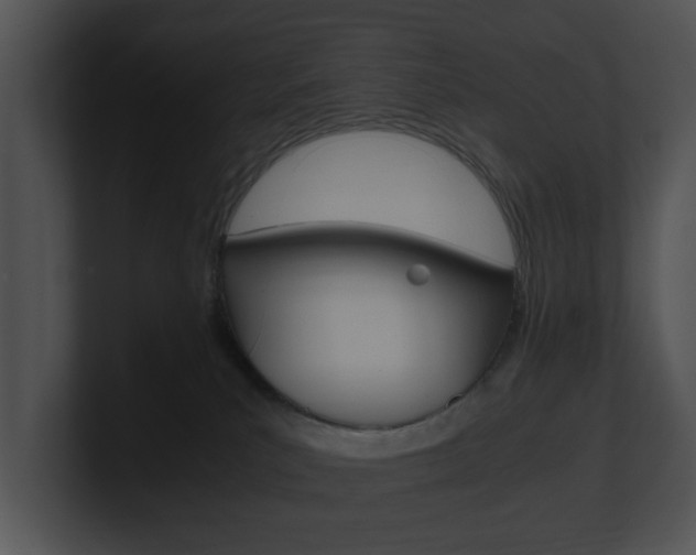 X0000100950039200806241132