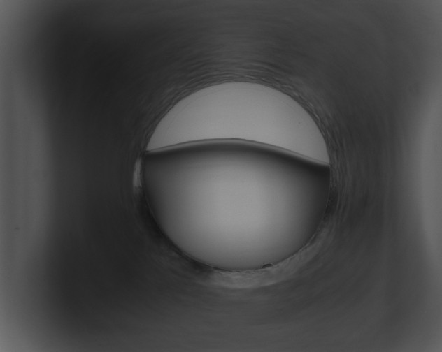 X0000100950041200806241132
