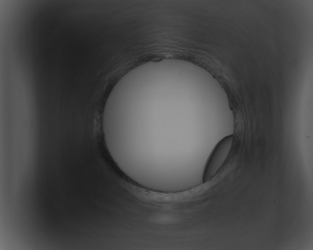 X0000100950043200806241132