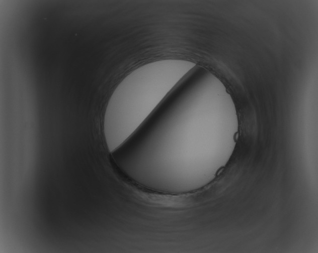 X0000100950044200806241132