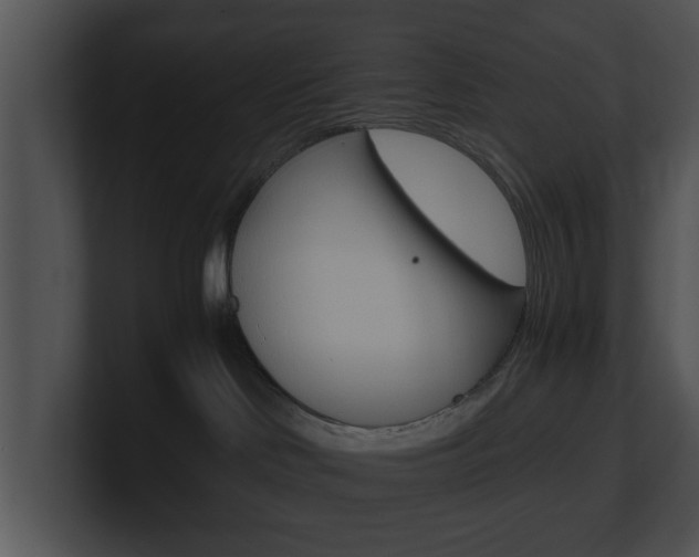 X0000100950046200806241132