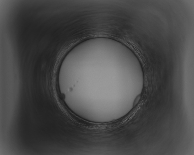 X0000100950049200806241131