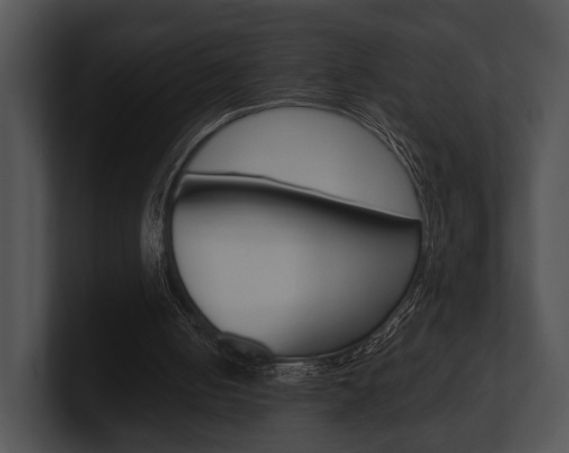 X0000100950050200806241131