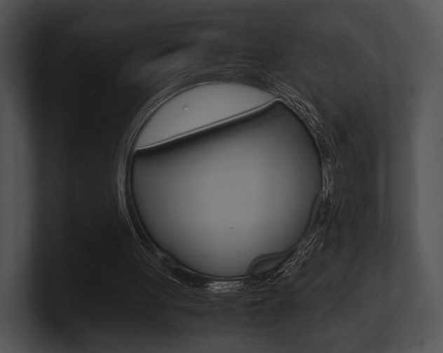 X0000100950051200806241131