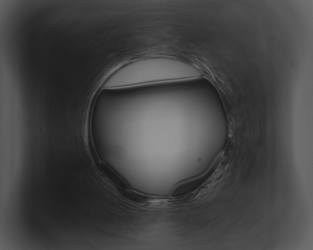 X0000100950052200806241131