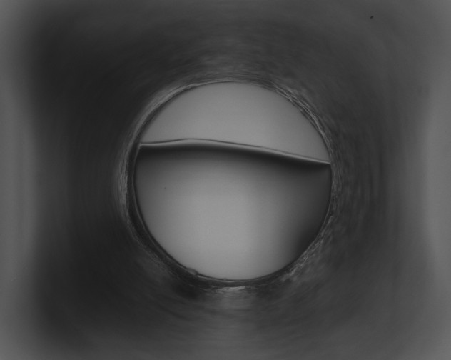 X0000100950054200806241131