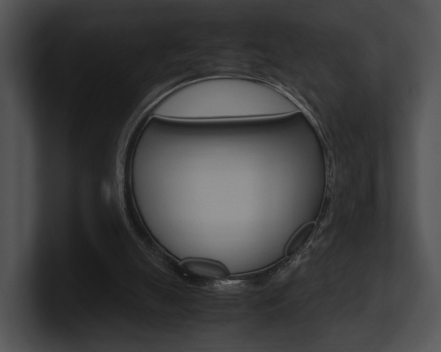 X0000100950055200806241131