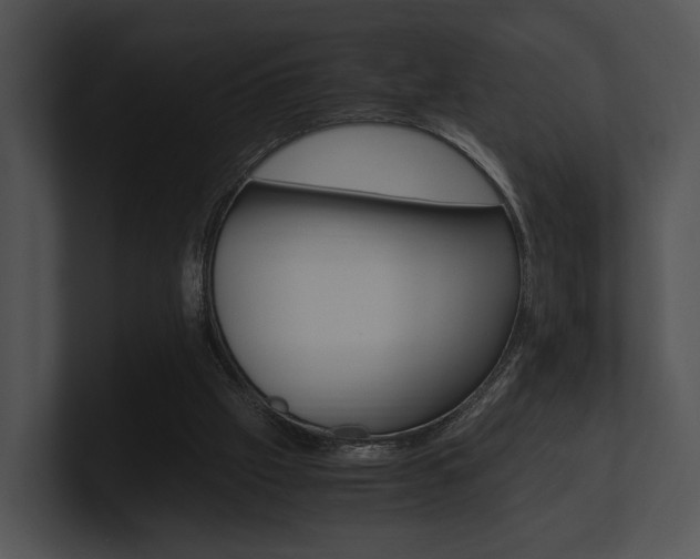 X0000100950057200806241131