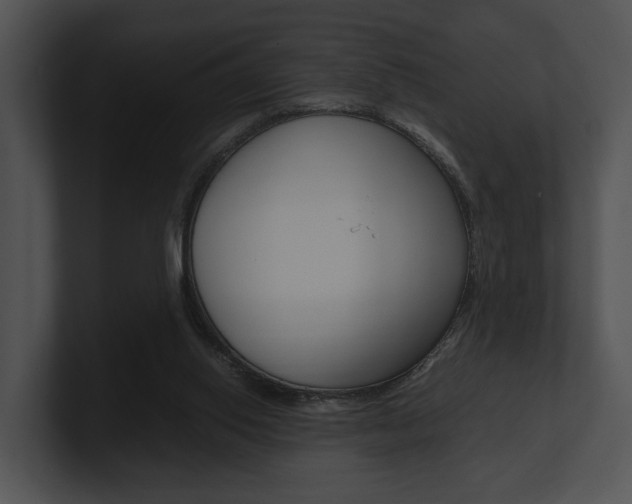X0000100950062200806241131