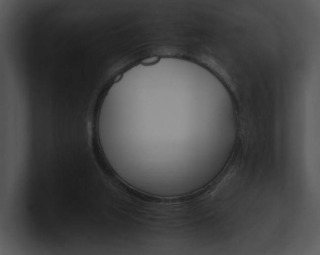 X0000100950063200806241131