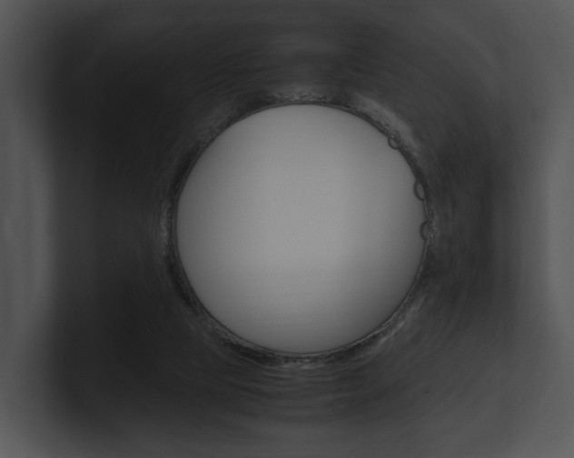X0000100950065200806241131