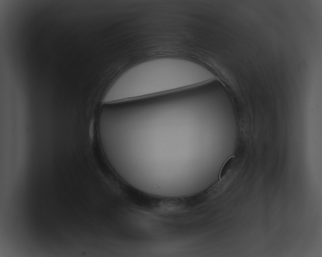 X0000100950070200806241131