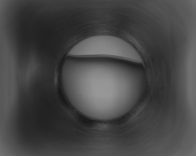 X0000100950071200806241131
