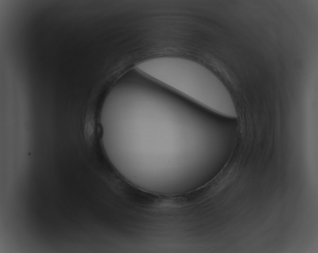 X0000100950072200806241131