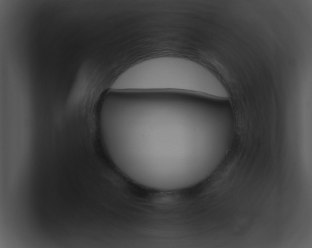 X0000100950077200806241131