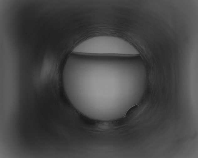 X0000100950079200806241131