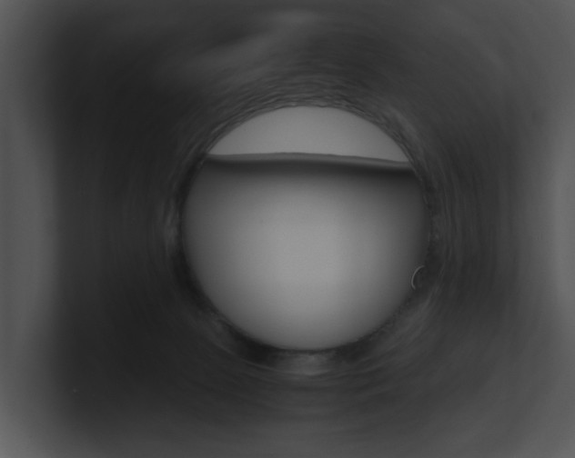 X0000100950081200806241131