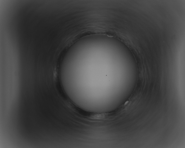 X0000100950084200806241131