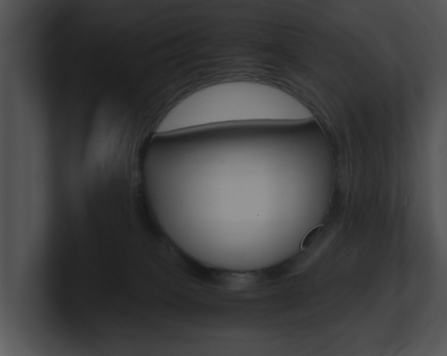 X0000100950085200806241131