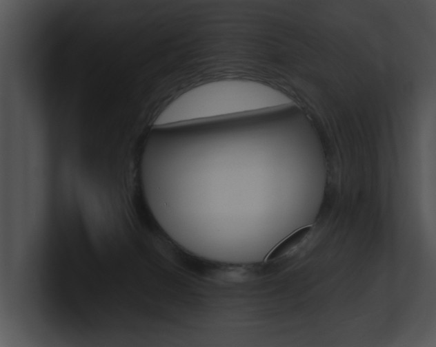 X0000100950086200806241131
