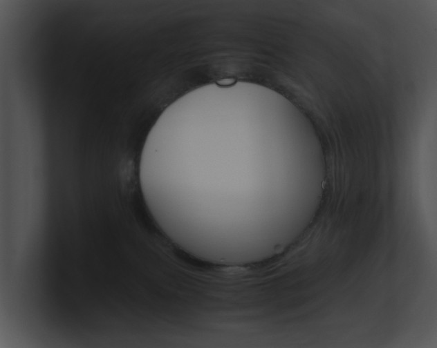 X0000100950087200806241131