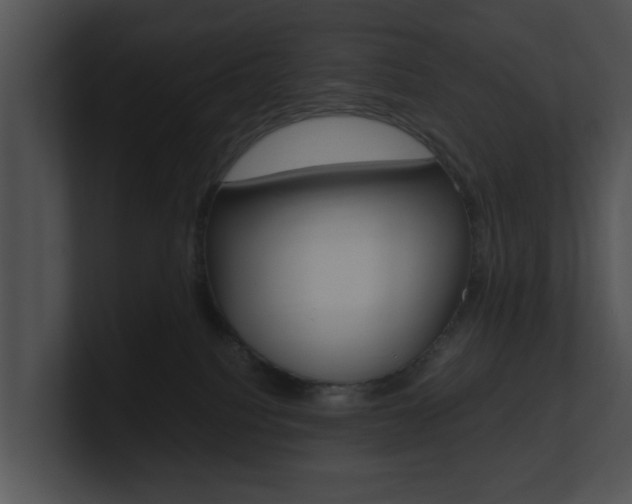 X0000100950088200806241131