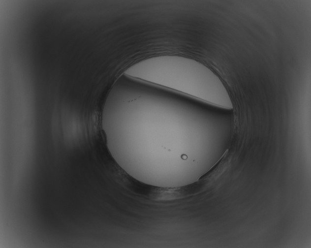 X0000100950093200806241132