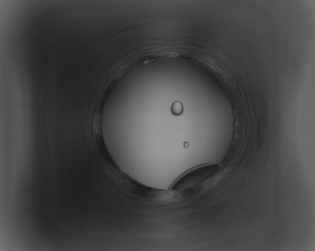 X0000100950096200806241132