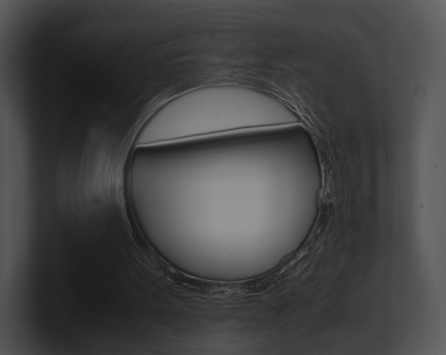 X0000100950099200806241131