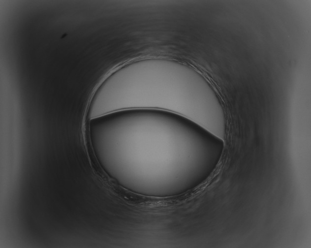 X0000100950100200806241131