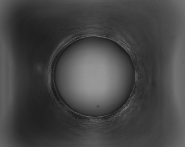 X0000100950101200806241131