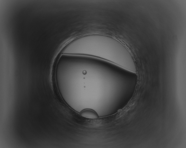 X0000100950104200806241131