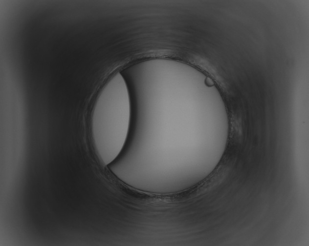 X0000100950110200806241131