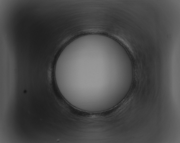 X0000100950111200806241131