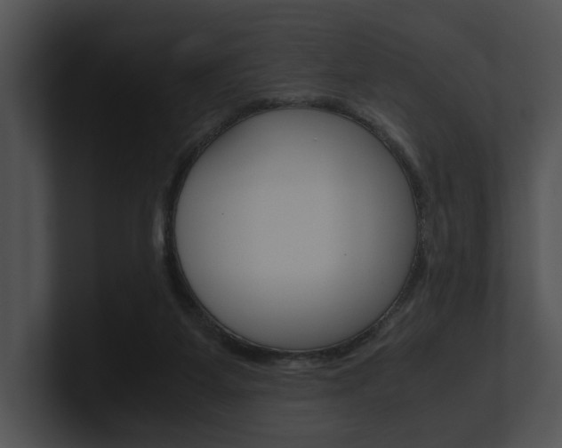 X0000100950115200806241131
