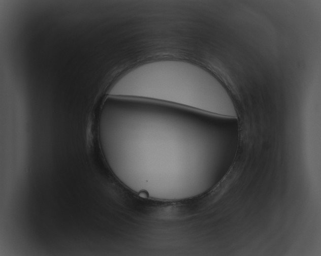 X0000100950116200806241131