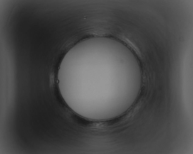 X0000100950117200806241131