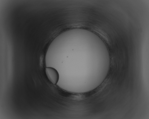X0000100950118200806241131