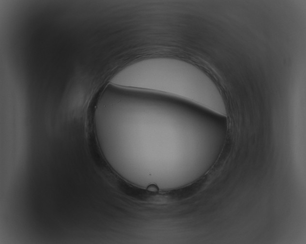 X0000100950119200806241131