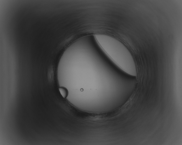 X0000100950120200806241131