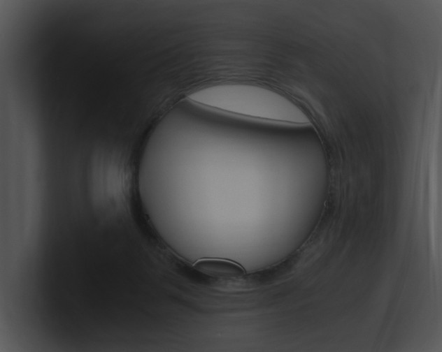 X0000100950123200806241131