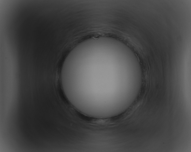 X0000100950129200806241131